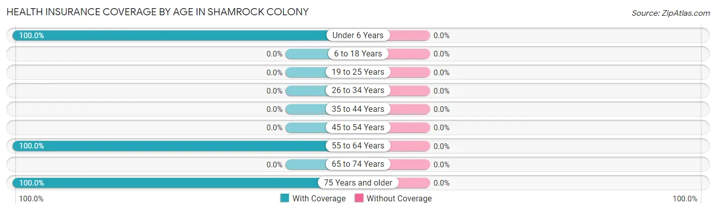 Health Insurance Coverage by Age in Shamrock Colony