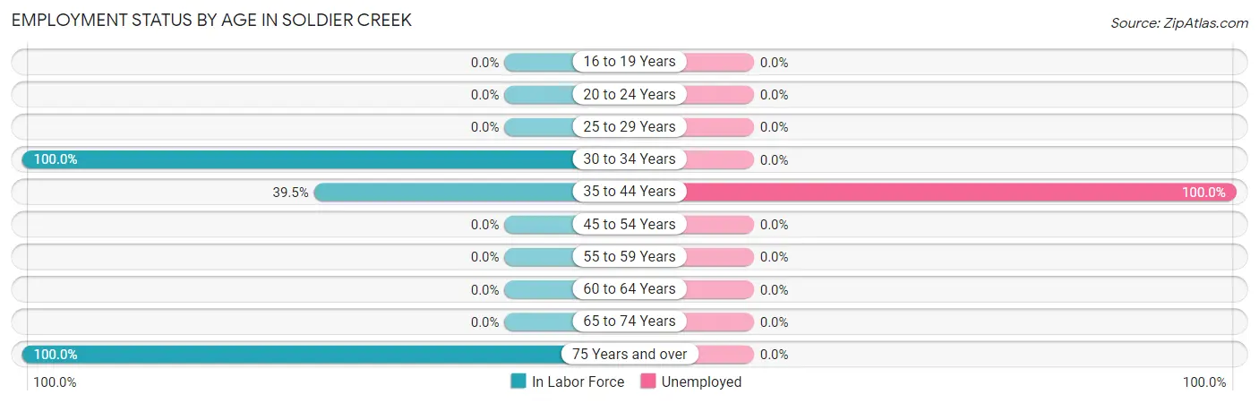 Employment Status by Age in Soldier Creek