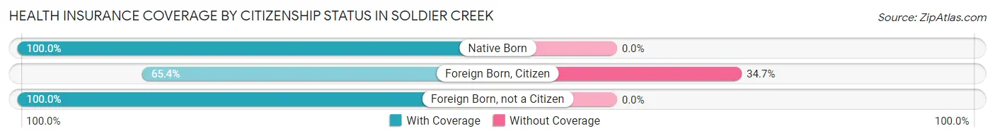 Health Insurance Coverage by Citizenship Status in Soldier Creek