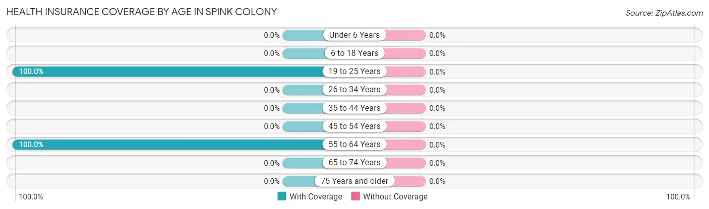 Health Insurance Coverage by Age in Spink Colony