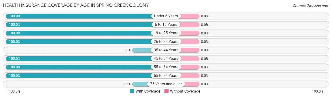 Health Insurance Coverage by Age in Spring Creek Colony