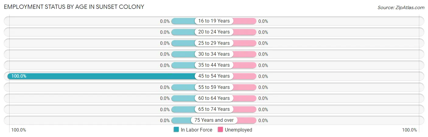 Employment Status by Age in Sunset Colony