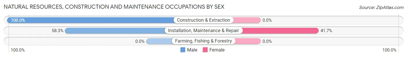 Natural Resources, Construction and Maintenance Occupations by Sex in Waubay