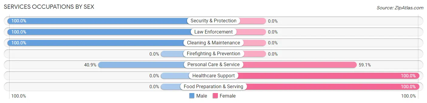 Services Occupations by Sex in Wessington Springs