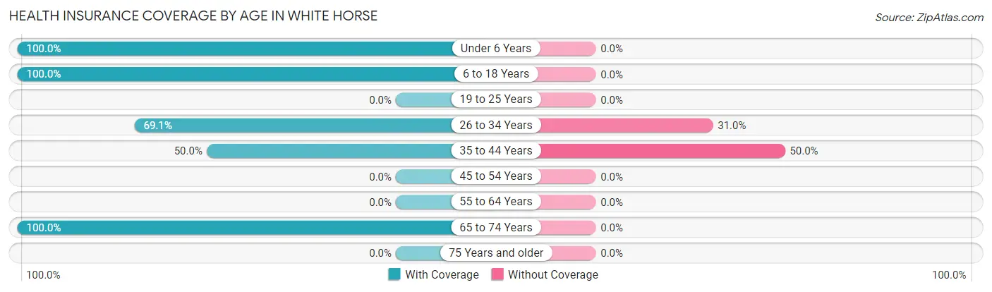 Health Insurance Coverage by Age in White Horse