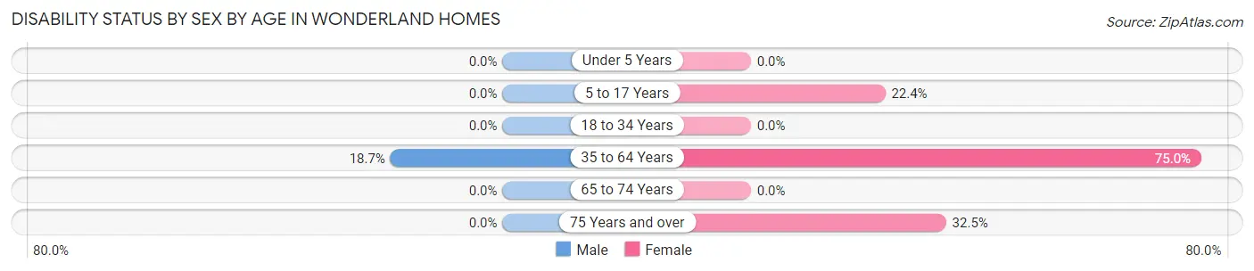 Disability Status by Sex by Age in Wonderland Homes