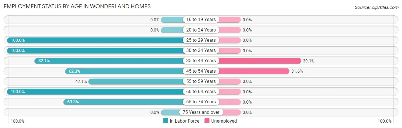 Employment Status by Age in Wonderland Homes