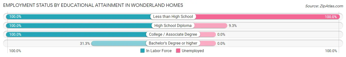 Employment Status by Educational Attainment in Wonderland Homes