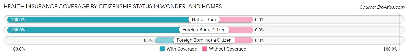 Health Insurance Coverage by Citizenship Status in Wonderland Homes