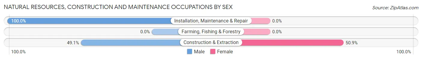 Natural Resources, Construction and Maintenance Occupations by Sex in Algood