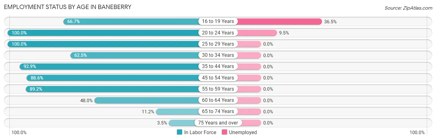 Employment Status by Age in Baneberry