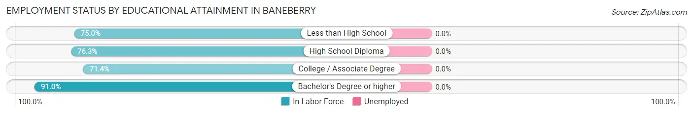 Employment Status by Educational Attainment in Baneberry