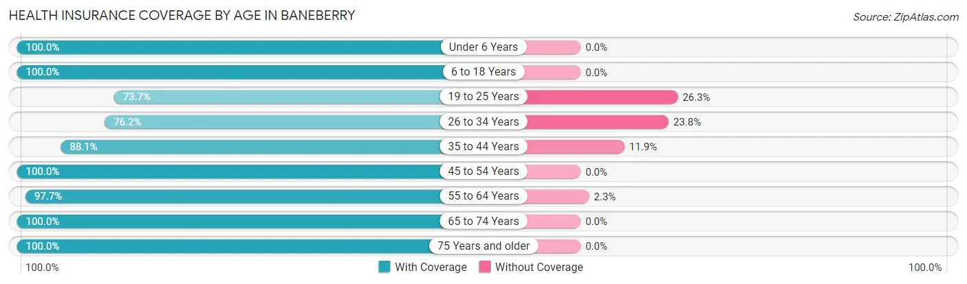 Health Insurance Coverage by Age in Baneberry