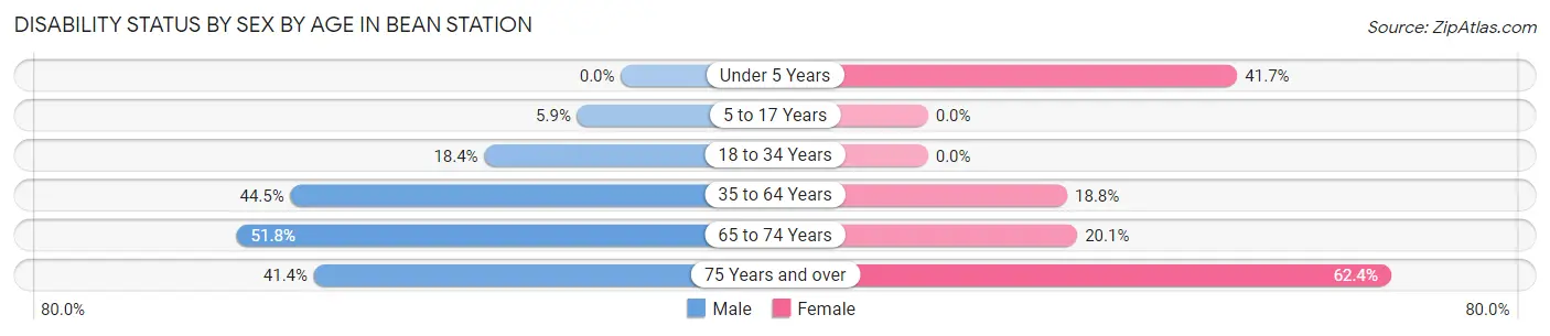 Disability Status by Sex by Age in Bean Station