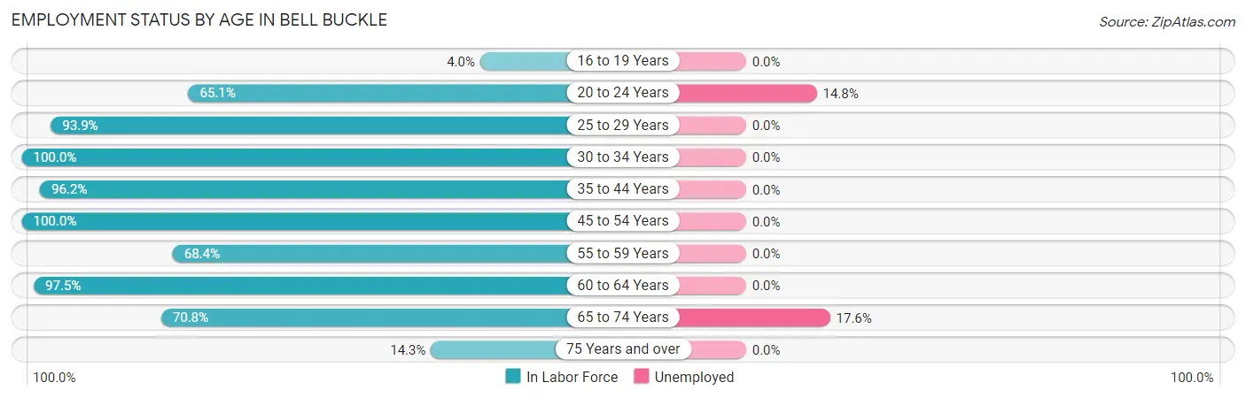 Employment Status by Age in Bell Buckle
