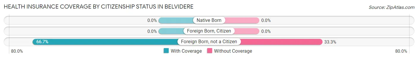 Health Insurance Coverage by Citizenship Status in Belvidere