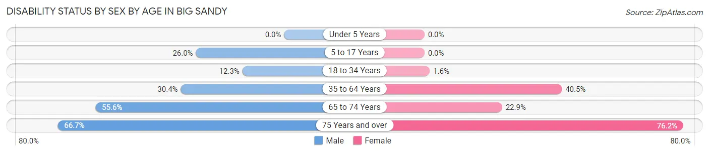 Disability Status by Sex by Age in Big Sandy