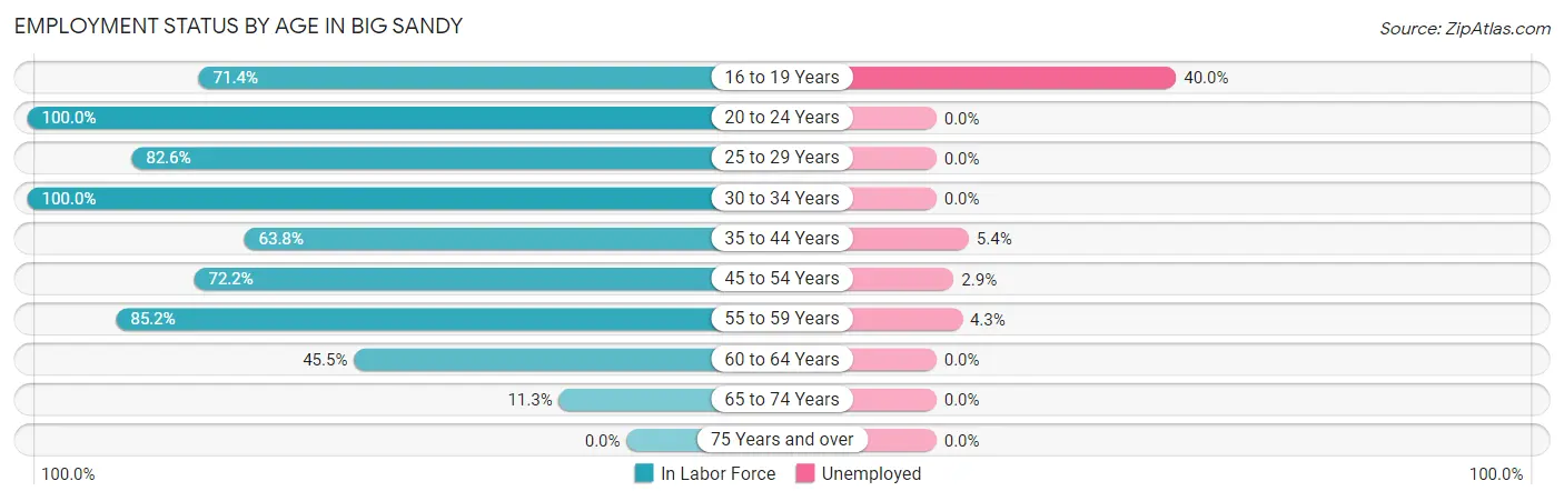 Employment Status by Age in Big Sandy