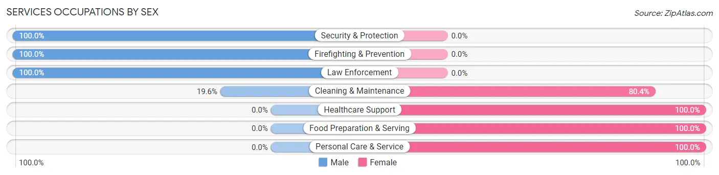 Services Occupations by Sex in Blaine