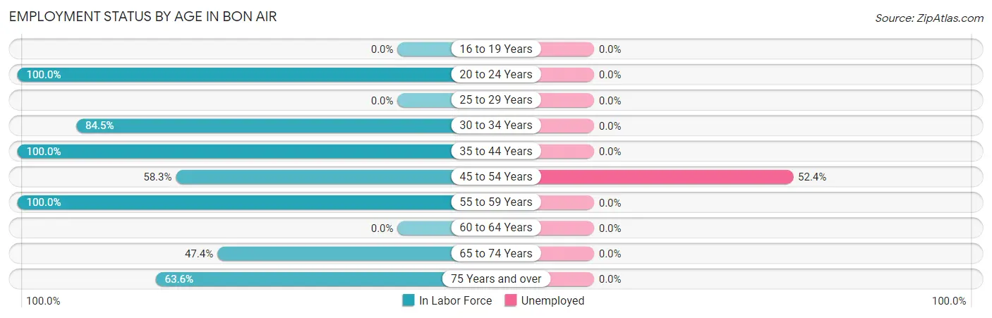 Employment Status by Age in Bon Air