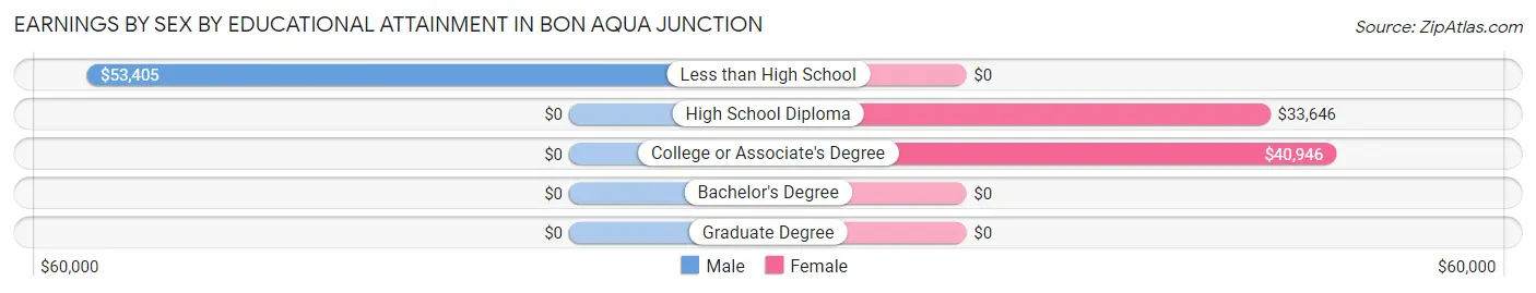 Earnings by Sex by Educational Attainment in Bon Aqua Junction