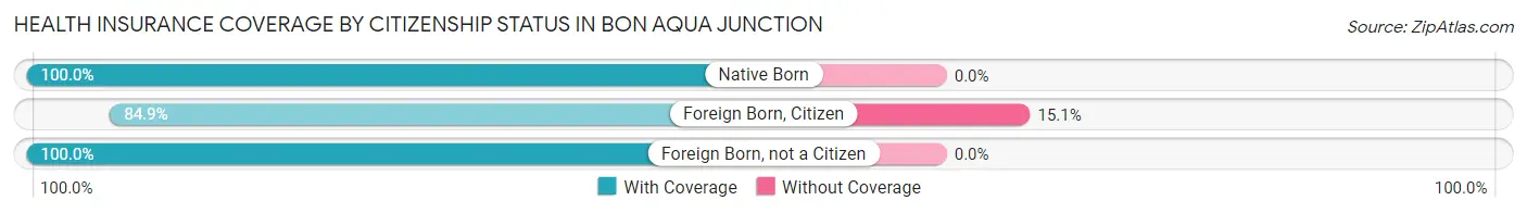 Health Insurance Coverage by Citizenship Status in Bon Aqua Junction