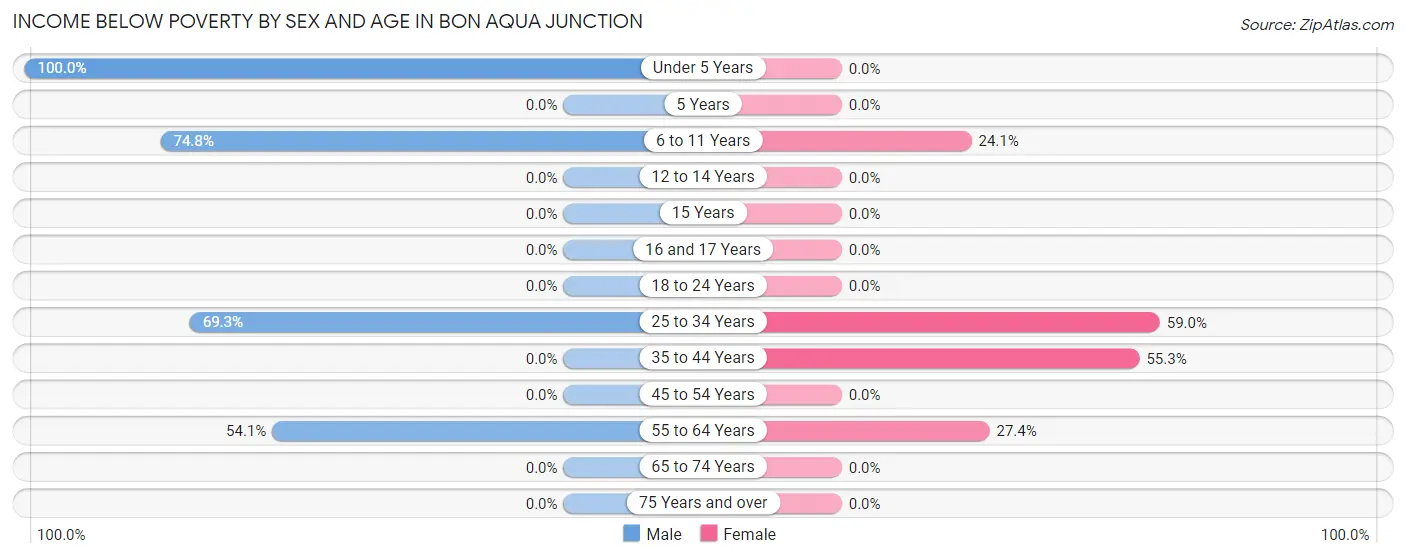 Income Below Poverty by Sex and Age in Bon Aqua Junction