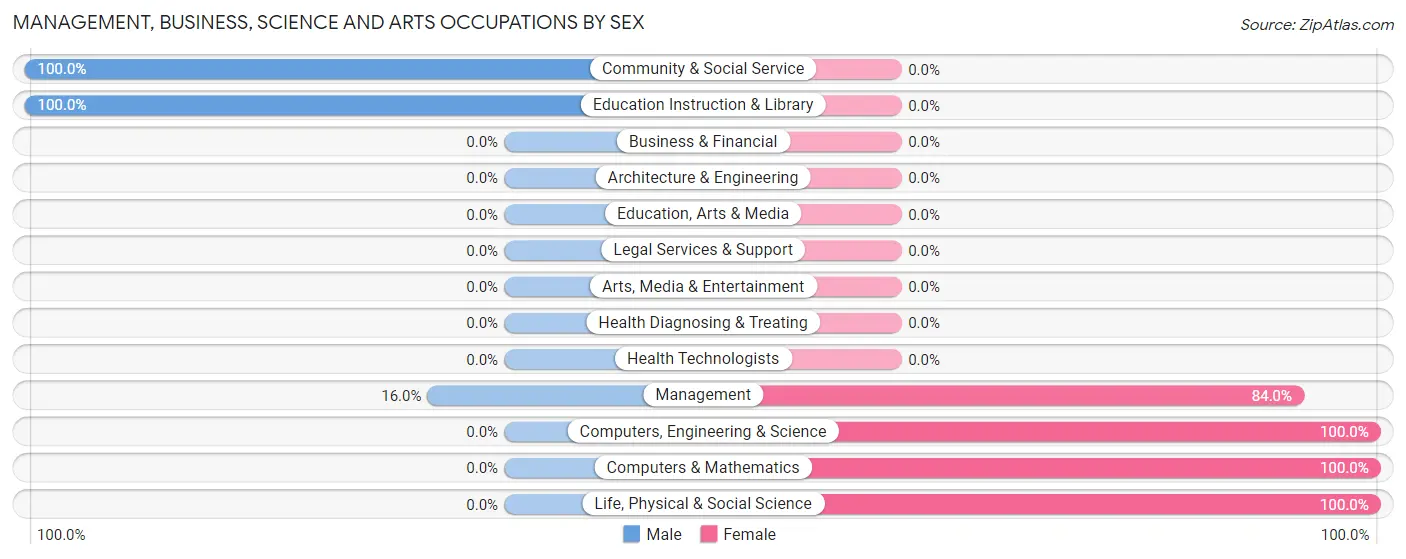 Management, Business, Science and Arts Occupations by Sex in Bon Aqua Junction