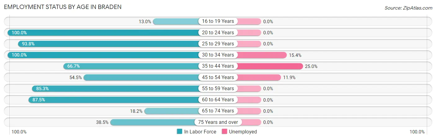 Employment Status by Age in Braden