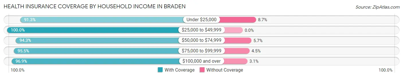 Health Insurance Coverage by Household Income in Braden
