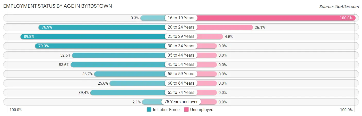 Employment Status by Age in Byrdstown