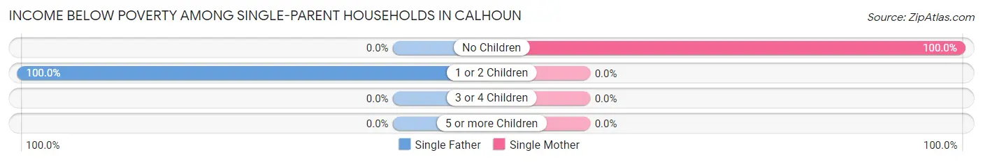 Income Below Poverty Among Single-Parent Households in Calhoun