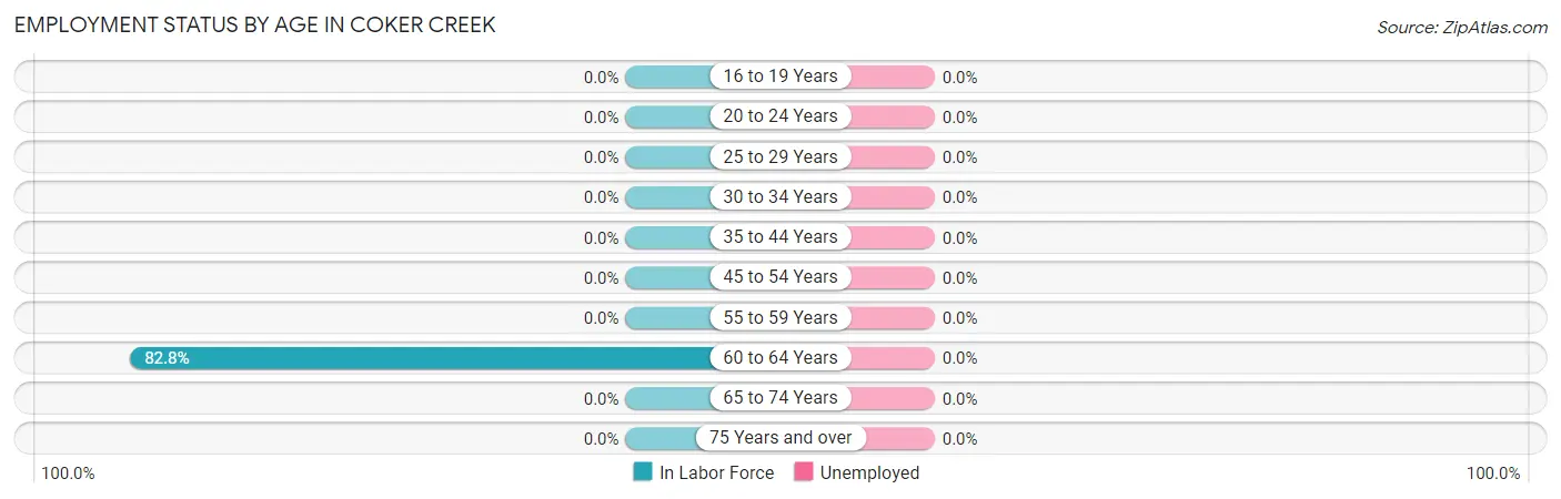 Employment Status by Age in Coker Creek