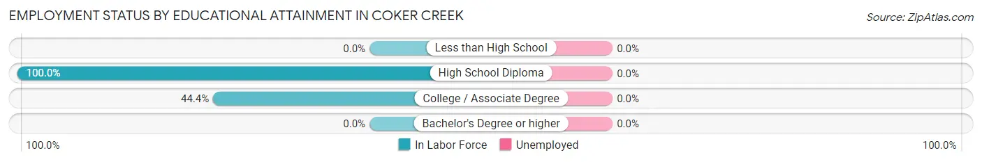 Employment Status by Educational Attainment in Coker Creek