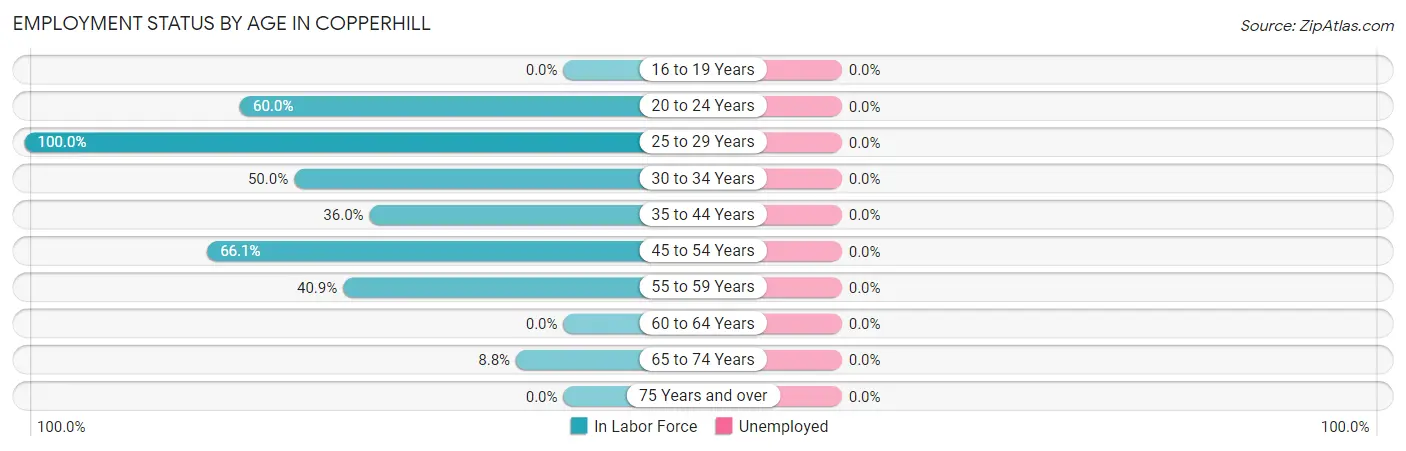Employment Status by Age in Copperhill