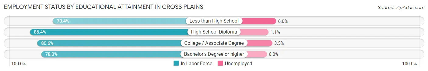 Employment Status by Educational Attainment in Cross Plains