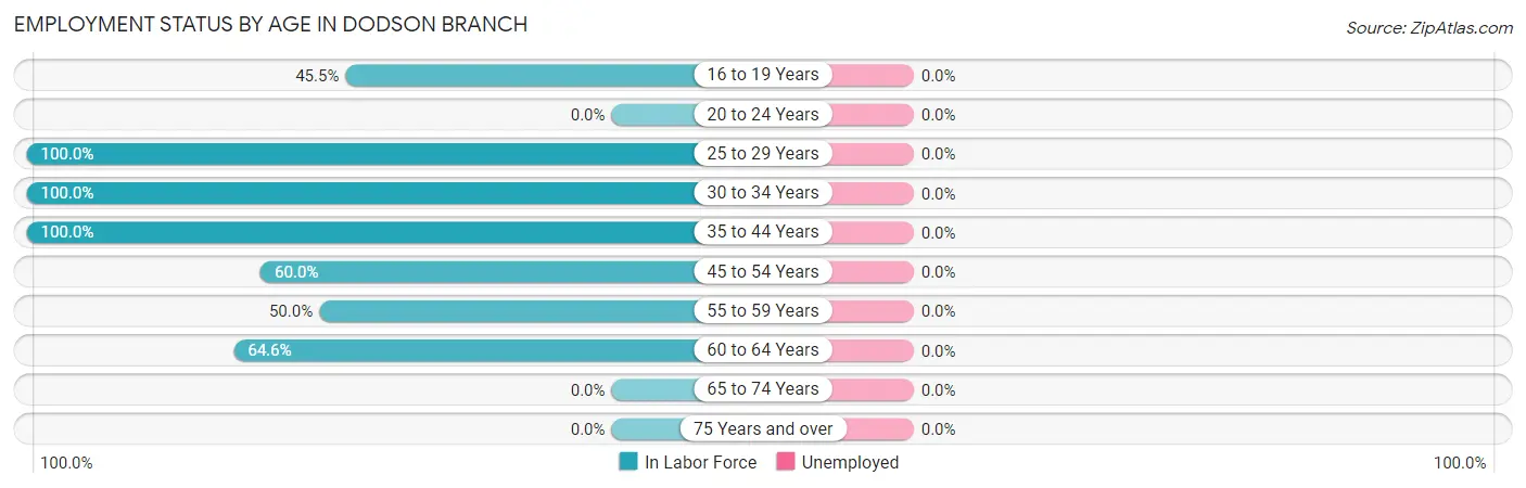 Employment Status by Age in Dodson Branch
