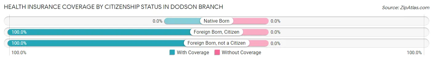 Health Insurance Coverage by Citizenship Status in Dodson Branch