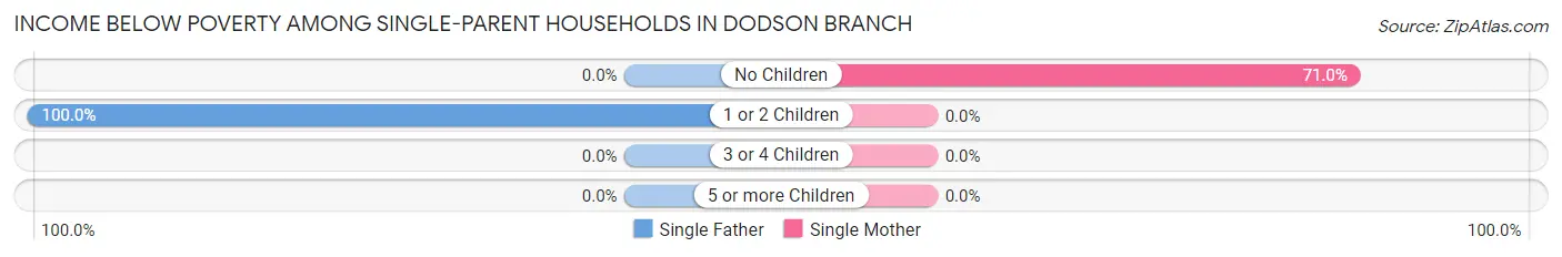 Income Below Poverty Among Single-Parent Households in Dodson Branch