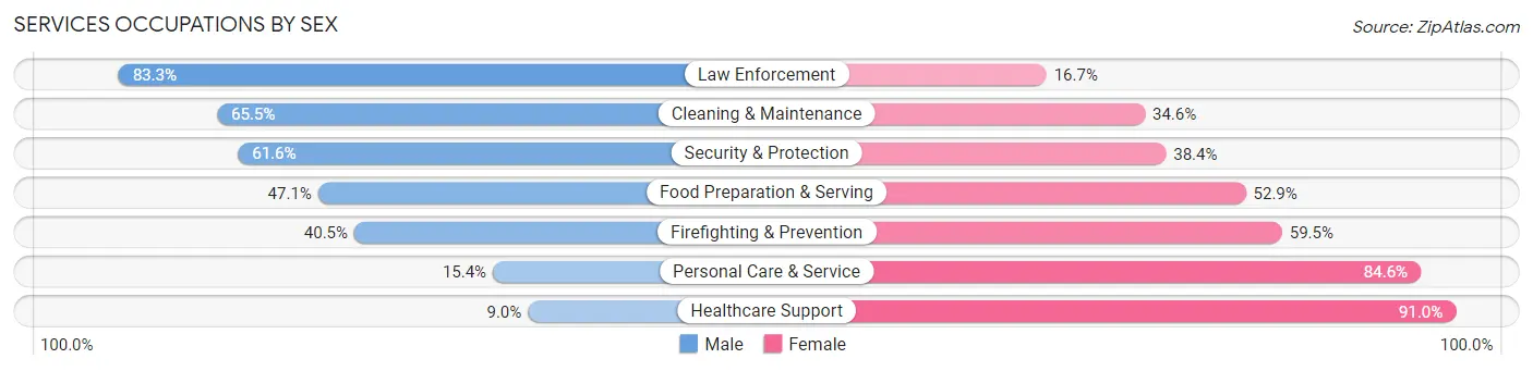 Services Occupations by Sex in Elizabethton