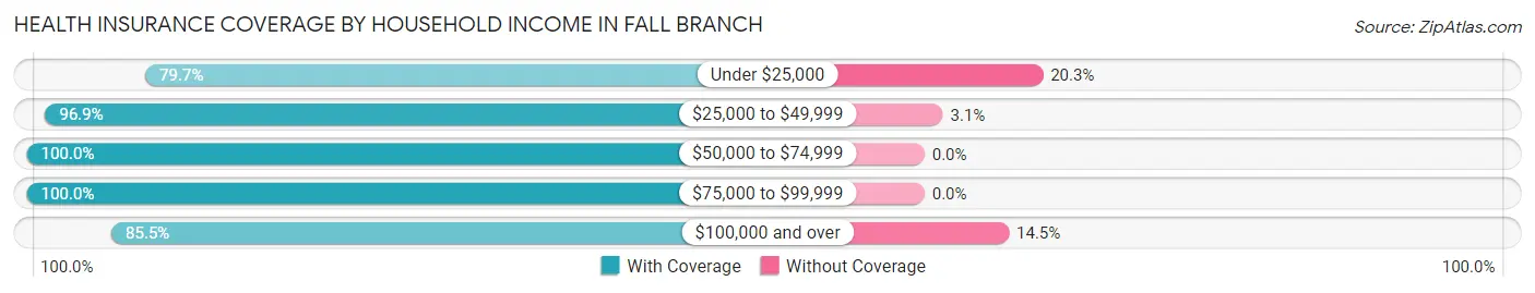 Health Insurance Coverage by Household Income in Fall Branch