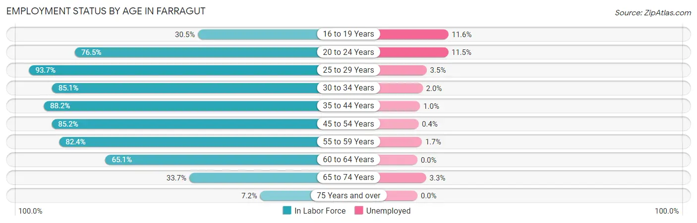 Employment Status by Age in Farragut
