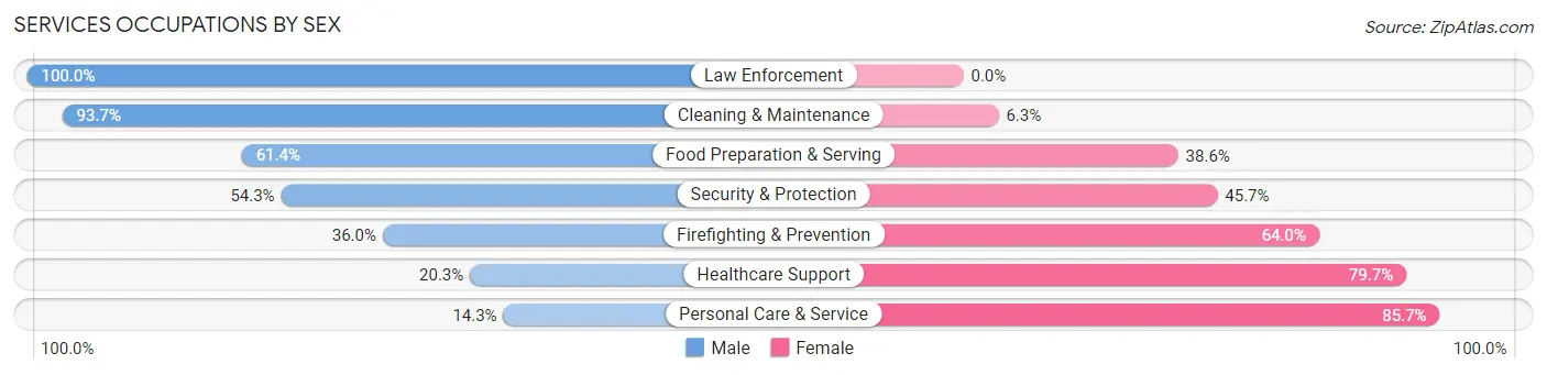 Services Occupations by Sex in Farragut