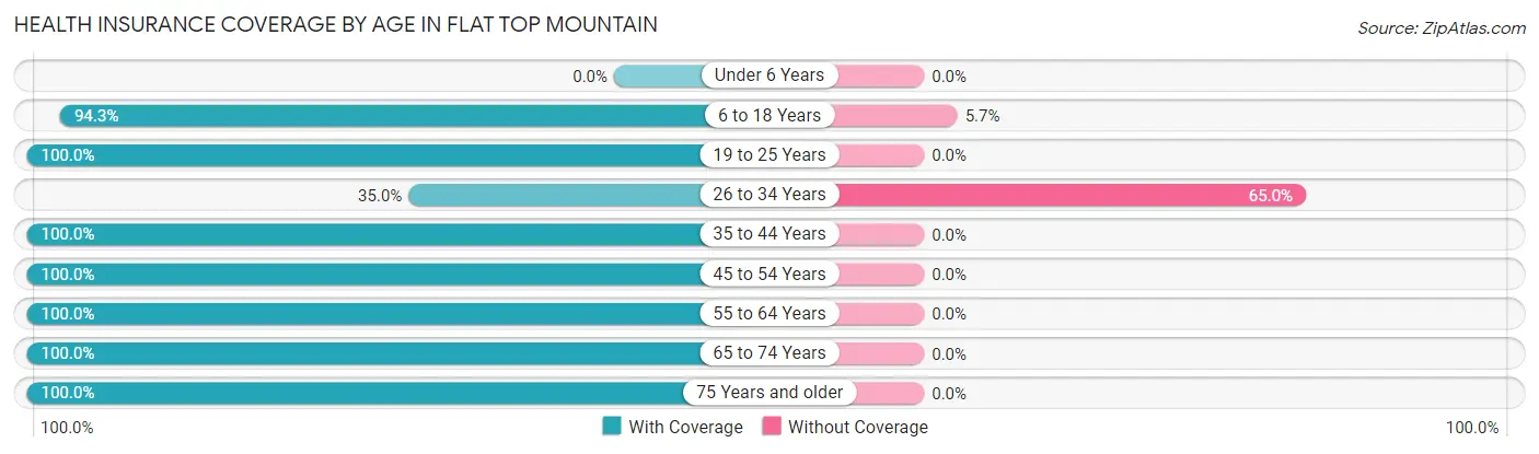 Health Insurance Coverage by Age in Flat Top Mountain