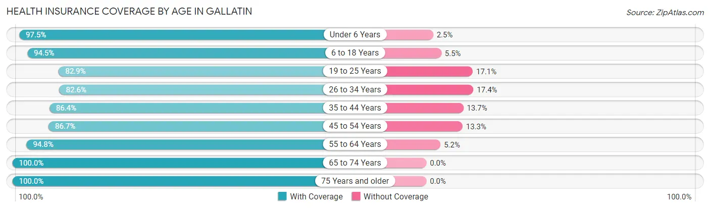 Health Insurance Coverage by Age in Gallatin