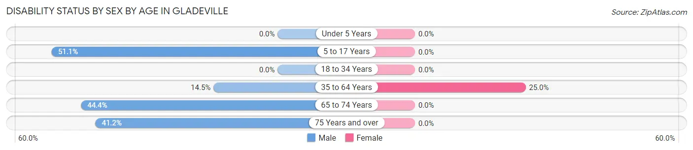 Disability Status by Sex by Age in Gladeville