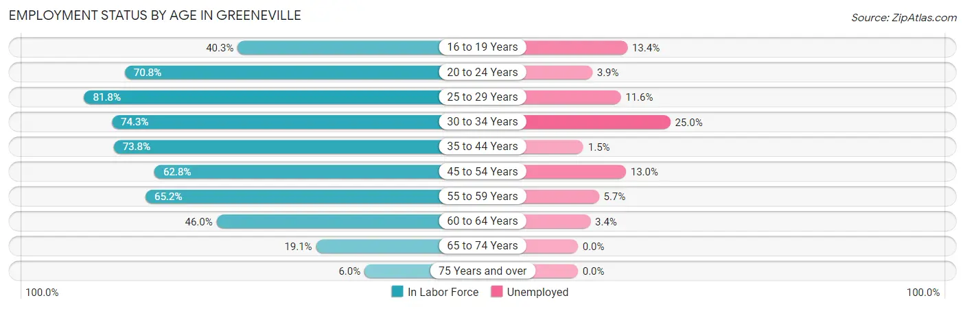 Employment Status by Age in Greeneville
