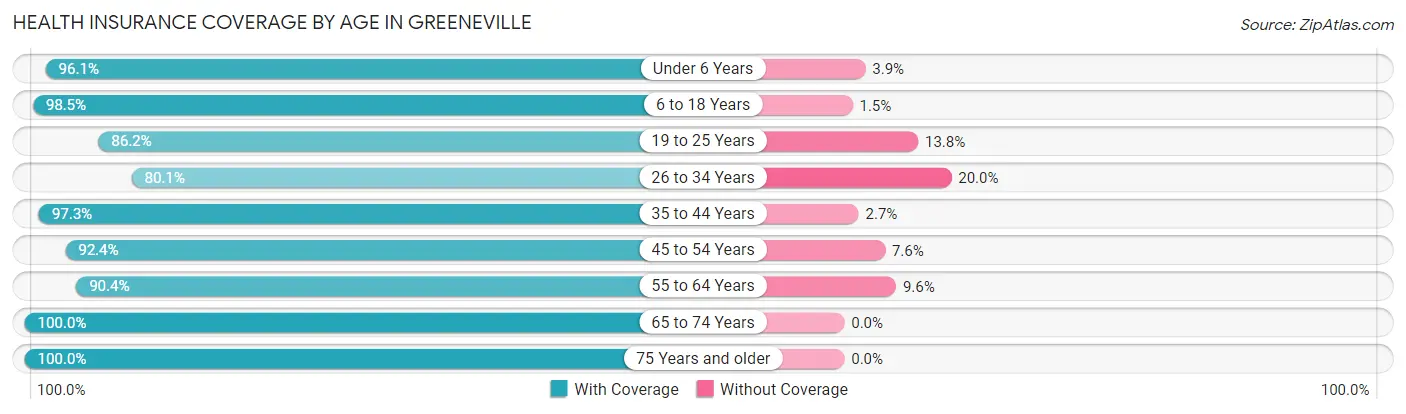 Health Insurance Coverage by Age in Greeneville