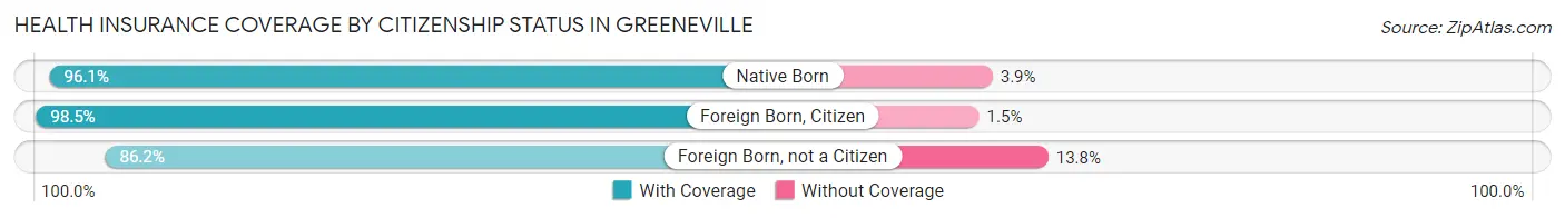 Health Insurance Coverage by Citizenship Status in Greeneville