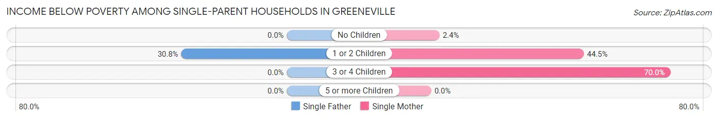 Income Below Poverty Among Single-Parent Households in Greeneville